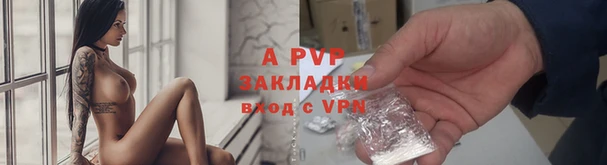 ешки Пересвет