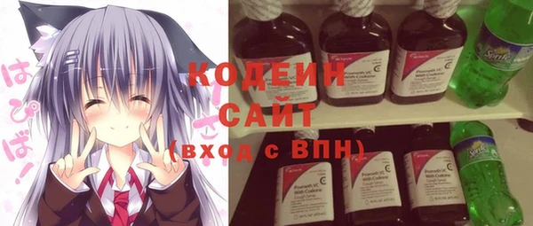 ешки Пересвет