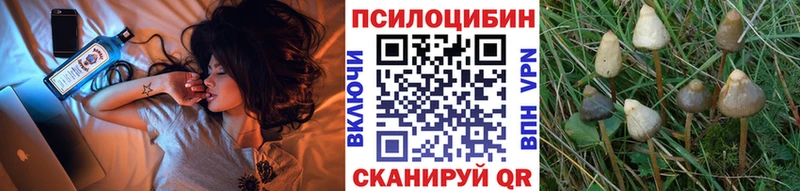 закладки  omg   Псилоцибиновые грибы Magic Shrooms  Петровск 